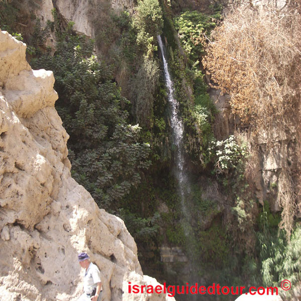 Ein-Gedi-David_'s-waterfall.jpg