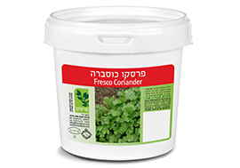 כוסברה.jpg