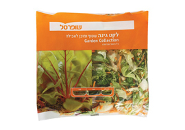לקט-גינה.jpg
