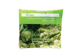 חסה-איסברג.jpg