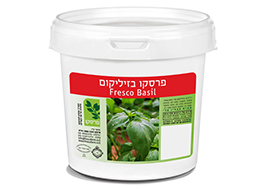 בזיליקום.jpg